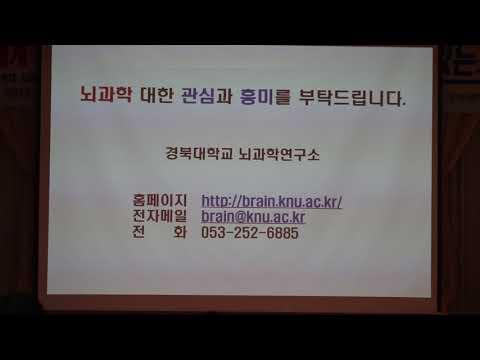 세계뇌 주간 학술행사 경북대학교 뇌과학연구..